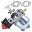 Replacement Kit Compatible with 1P56F Carburetor