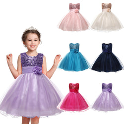 Girls Princess Dress Sequin Tulle Flower Dress