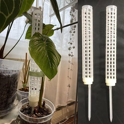 2pcs Pole for Plants Monstera Climbing Plant