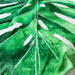 Soft  Large Leaf Shape Blanket Soft