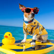 Dog Cat Pet Hawaiian Shirt