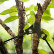 6PCS Tree Straps for Staking Tree Support Straps