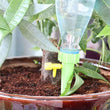 10pcs Self-contained Auto Drip Irrigation Watering System Automatic Watering Spike