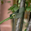 6PCS Tree Straps for Staking Tree Support Straps