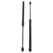 2x Rear Tailgate Boot Gas Struts for Nissan Micra MK4