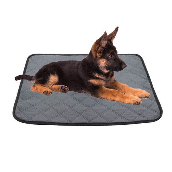 Pet Large Absorbent Washable Incontinence Chair Seat Protector Pad