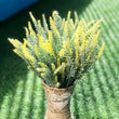 Lavender Plastic Flower Home Decor