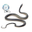 Snake Prank With String Clip Funny Large Realistic Rubber Snake