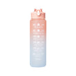 800ml Motivational Water Bottle with Time Marker Straw Leakproof Tritian Frosted Portable Reusable Fitness Sport Bottle
