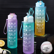 800ml Motivational Water Bottle with Time Marker Straw Leakproof Tritian Frosted Portable Reusable Fitness Sport Bottle
