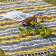 Mexican Serape Blanket with Tassel Bright Colorful Stripe Rainbow Throw Blanket Camping Blanket