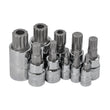 MULTI SPLINE BIT SOCKET SET triple square M4-M18 tamperproof