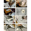 Women Pet Pouch Hoodie Long Sleeve Kitten Puppy Holder Carrier Pullover