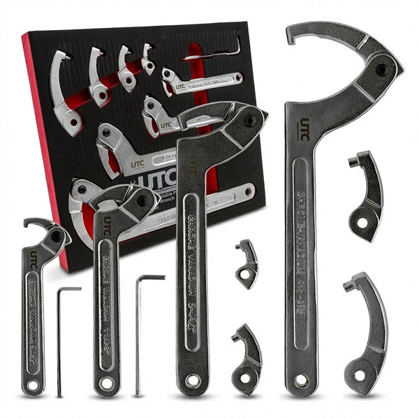 9pc Adjustable Hook & Pin Wrench Set 19–155mm C Spanner Kit