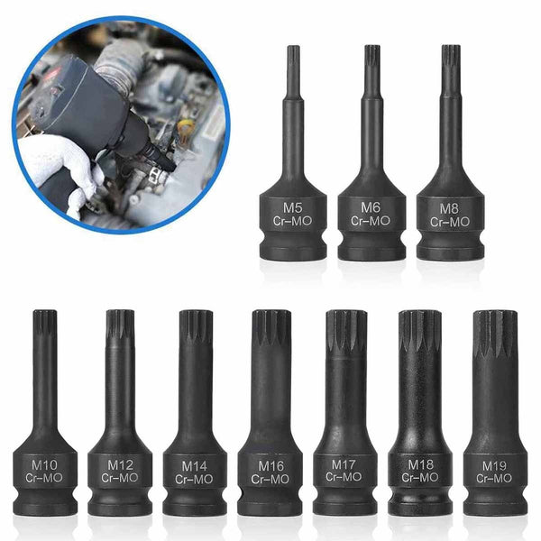 10pc 1/2” Drive Spline Bit Socket Set M5 - M19, Multi-Tooth Socket Bit Set