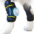 Dog Leg Brace for Rear Hock Ankle Joint Brace