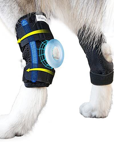 Dog Leg Brace for Rear Hock Ankle Joint Brace