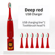 Children Cleaning Teeth Rechargeable Sonic Electric Toothbrush with 6 Toothbrush Heads