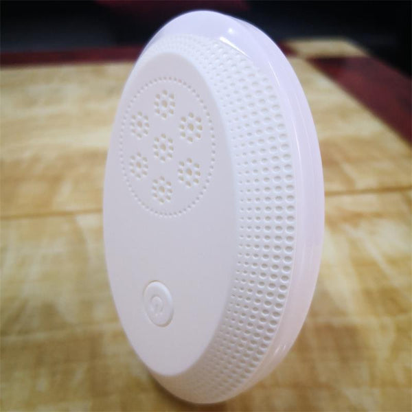 Mini Ultrasonic mosquito repellent